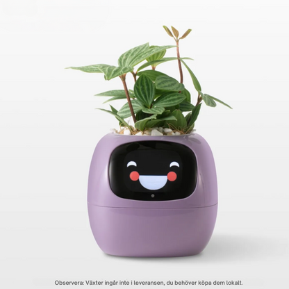 SmartVäxtis – The pot that thinks for you