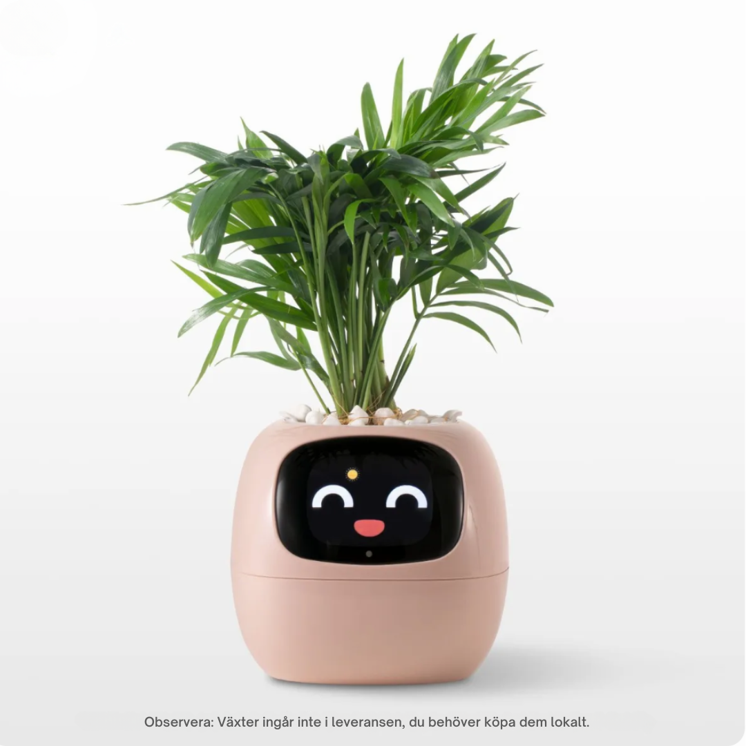 SmartVäxtis – The pot that thinks for you