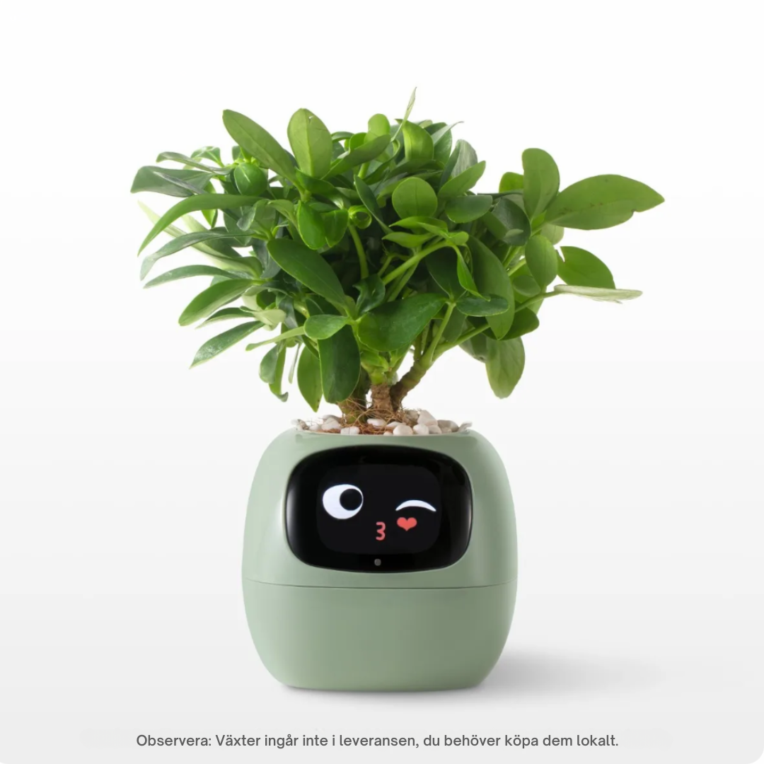 SmartVäxtis – The pot that thinks for you