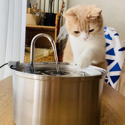 Cat fountain